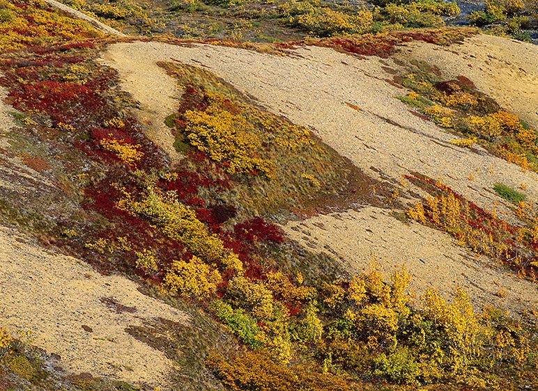 Photograph not currently available as print. For commercial use reproduction rights contact our studios at: peace2rth@mac.com 2009