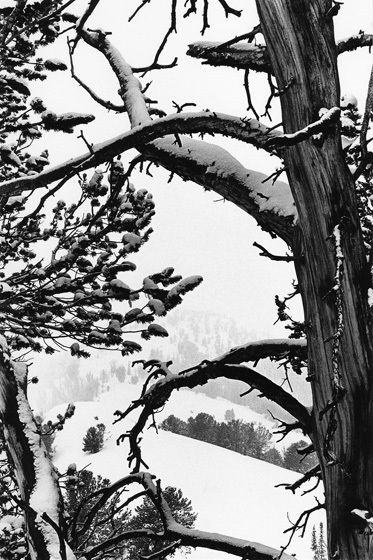 VIEW IN A STORM, 1973All prints are VINTAGE silver gelatinmade prior to 1984 by my hand.11" x 14" signed, limited edition of 20: $12,000 (6-prints remain in this unique larger size.)5" x 8" print only availble in portfolio.WINTERS: 1970-1980 complete portfolio of 24-signed, limited edition prints boxed w/catalog: $65,000 (Only 2 complete portfolios are still available.) VIEW IN A STORM, 1973