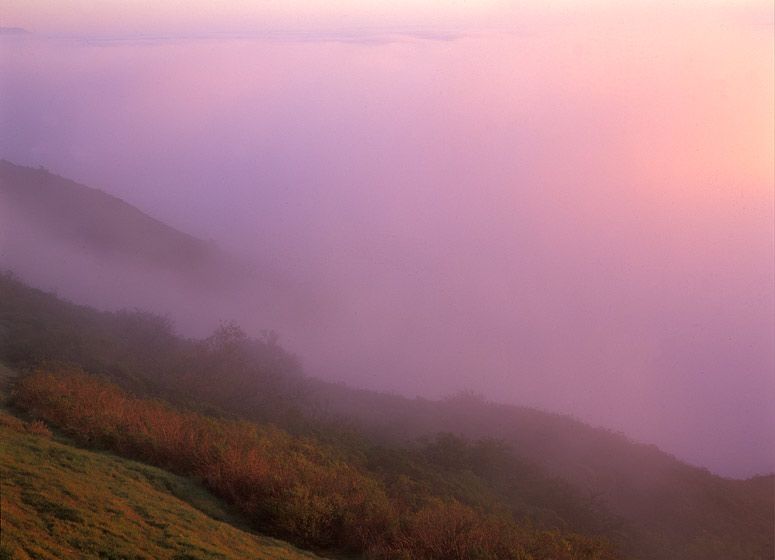 (UNTITLED)Photograph not currently available as print.  For commercial use and reproduction rights contact our studios at peace2rth@mac.com. (UNTITLED)