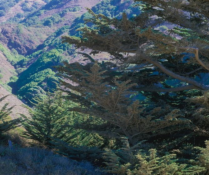 (UNTITLED)Photograph not currently available as print.  For commercial use and reproduction rights contact our studios at peace2rth@mac.com. (UNTITLED)