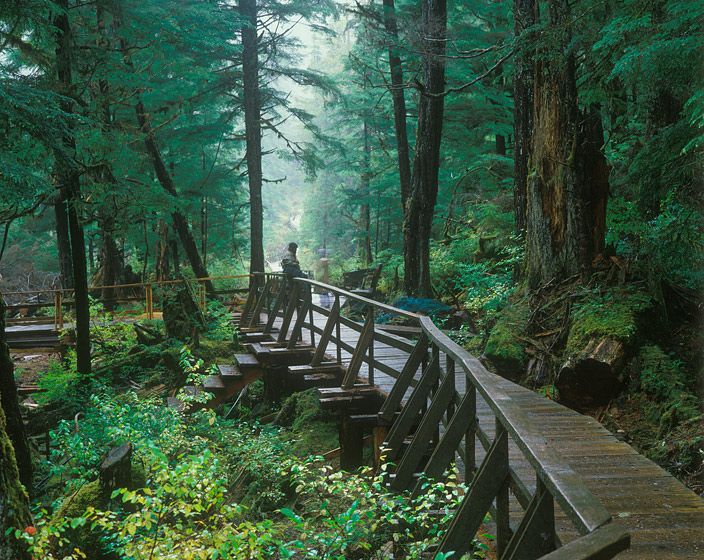 COMMUNITY BOARDWALK, PORT PROTECTION, 1986