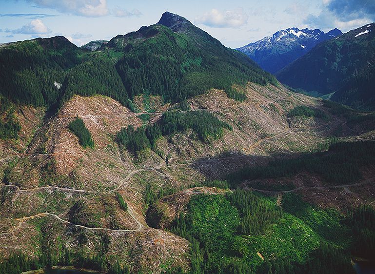 THE CHAINSAWS OF SUMMER, 1992