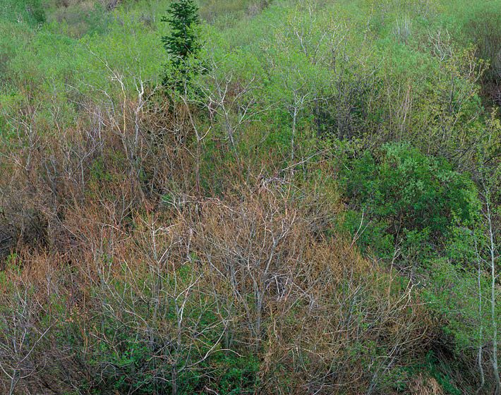 1912_sundance_678bit1400