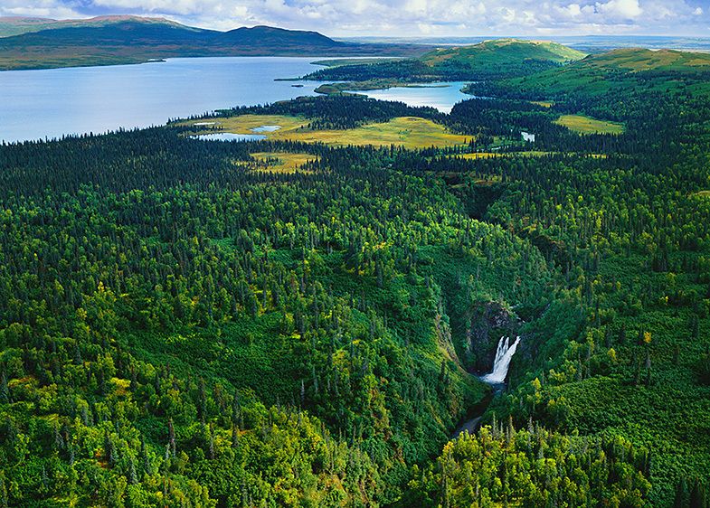 GRANT RIVER FALLS, 1999