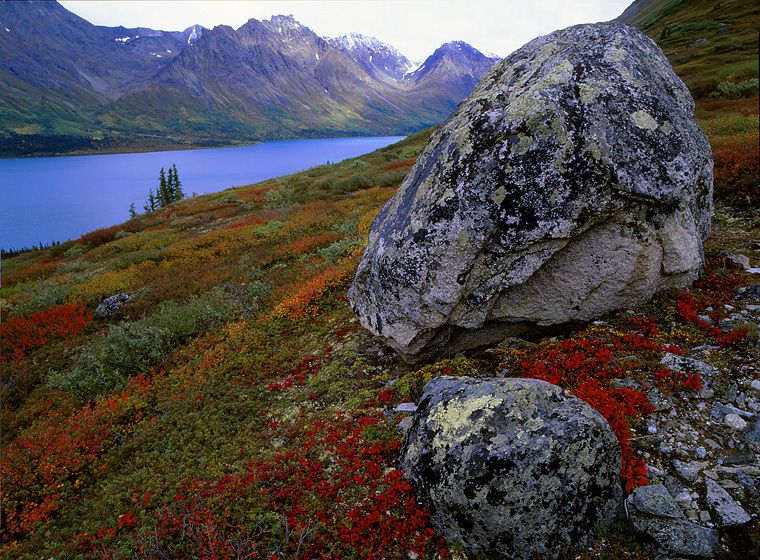 NO PEBBLE MINE #16, Pictures from Ground Zero: The state parks, national parks and wildlife refuges of southwest Alaska are the essence of wild land. These habitats are also the headwaters of the Bristol Bay salmon fisheries and the most diverse freshwater ecosystem in North America. Parks and fish are renewable resource job providers. THERE IS NO PLACE IN THIS ENVIRONMENT FOR THE TOXIC BY-PRODUCTS THAT WILL BE INTRODUCED BY THE PEBBLE MINE COMPLEX. TWIN LAKES, LAKE CLARK NATIONAL PARK