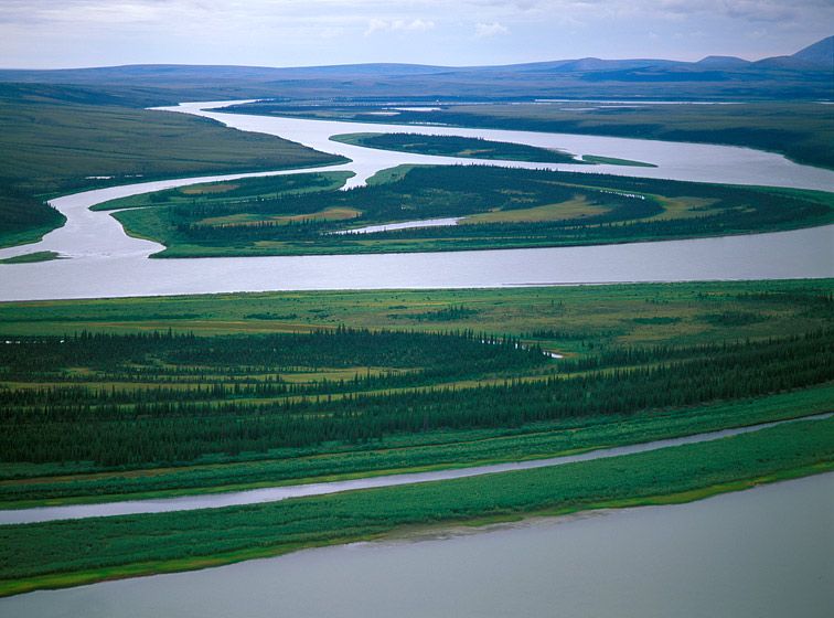 (UNTITLED)Photograph not currently available as print. For commercial use and reproduction rights contact our studios at peace2rth@mac.com. (UNTITLED)