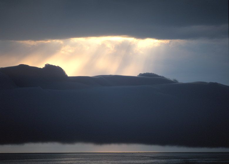 20" x 24" / $1,50024" x 30" / $2,25030" x 40" / $3,500The signed, limited edition of 33, includes all of the above sizes. Print will be shipped directly to client's framer. 1328_nwp_645_4k_8b