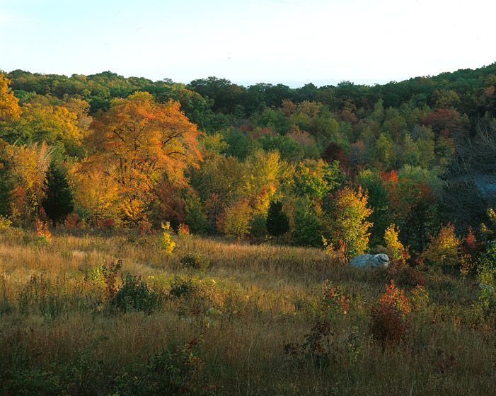 20" x 24" / $1,50024" x 30" / $2,25030" x 40" / $3,500The signed, limited edition of 21, includes all of the above sizes. Print will be shipped directly to client's framer.48" x 65" edition of 3Current Price: $6,500 162_hudson_67_1400