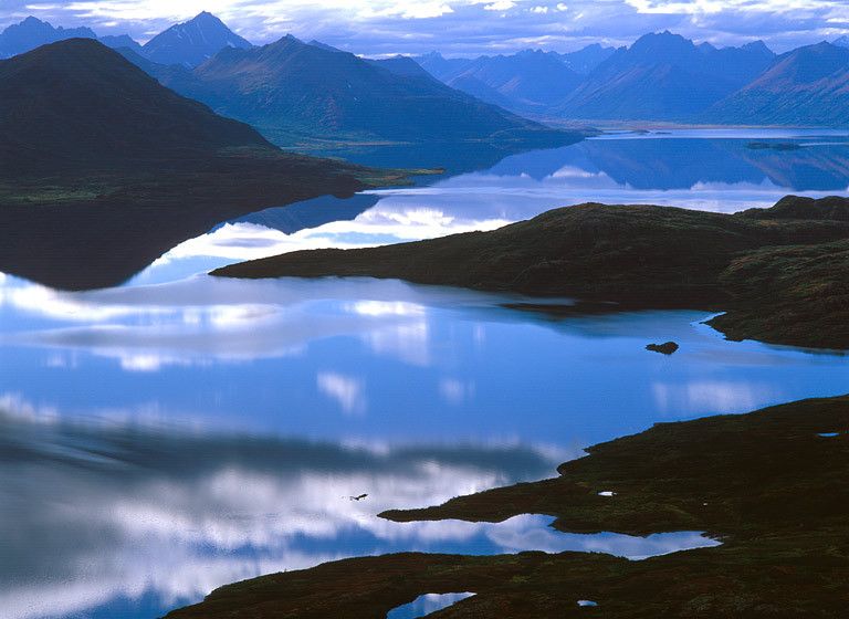 MORPHIC FORMS #2, WOOD-TIKCHIK, 2001  BUY THIS PRINT