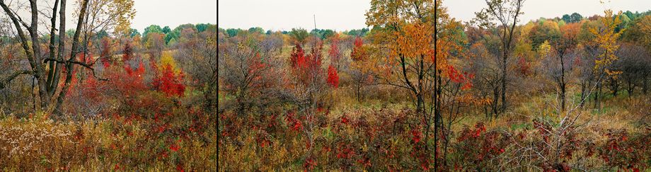 1_26__177stitched_434_lb