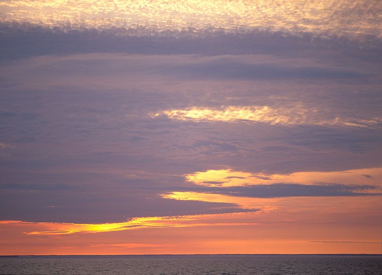 STAYTUNED, SKY SHOW AT 11:00 P.M.20” x 24” / $1,50024” x 30” / $2,25030” x 40” / $3,500The signed, limited edition of 33, includes all of the above sizes. Print will be shipped directly to client's framer.48" x 65"edition of 3Current price: $7,500 STAYTUNED, SKY SHOW AT 11:00 P.M.