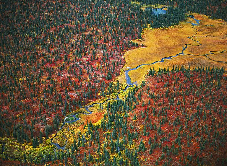 NAMELESS STREAM THROUGH BLAZING TUNDRA, 1999