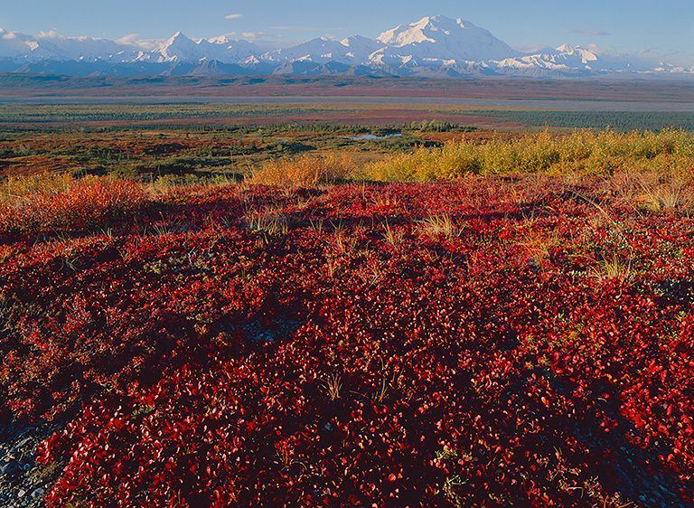 DENALI AND THE FRONT RANGE, SUNRISE, 2006