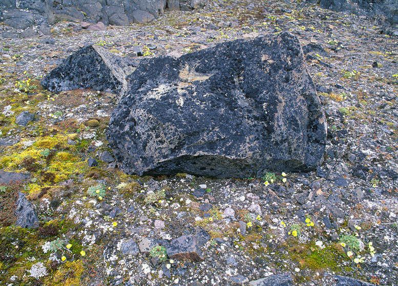 3-DIMENSIONAL TAPESTRY, 1998