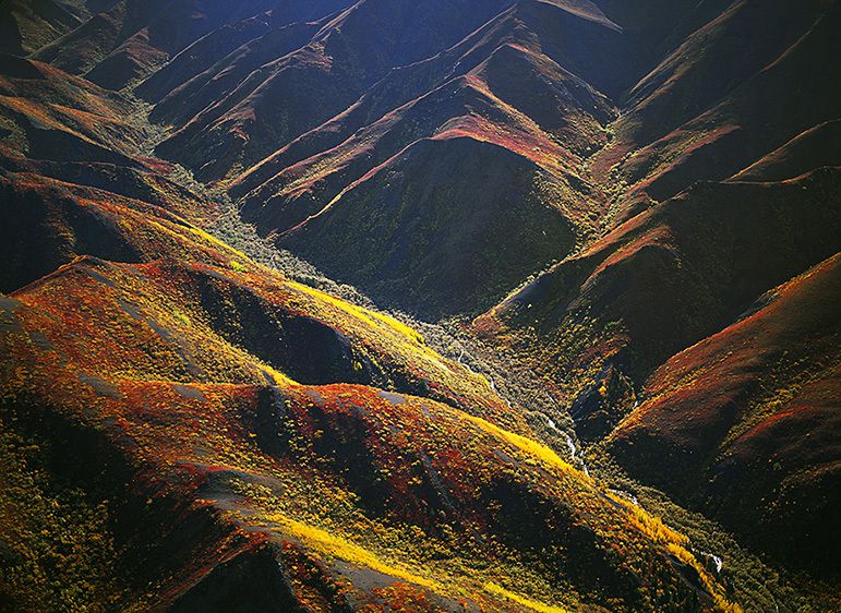 EARLY MORNING LIGHT, OUTER RANGE, 2009
