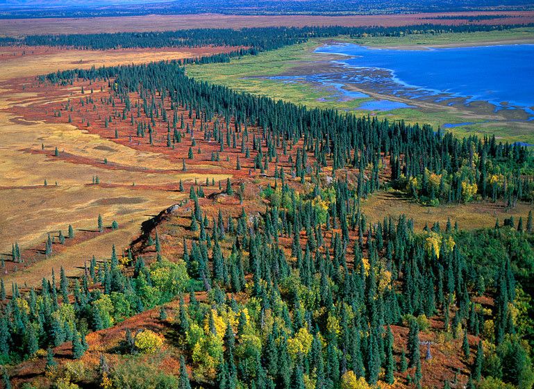 LAKE SHORELINE, FALL, 2001
