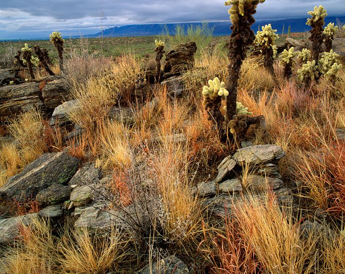WEATHER OVER THE CATALINAS,  199220” x 24”/$95024” x 30”/$1,50030” x 40”/$2,250The signed, limited edition of 33, includes all of the above sizes.  Print will be shipped directly to client's framer. WEATHER OVER THE CATALINAS,  1992
