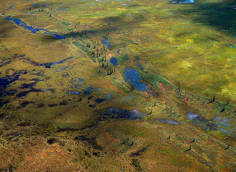 SATURATED TUNDRA, 199920” x 24” / $1,50024” x 30” / $2,25030” x 40” / $3,500The signed, limited edition of 33, includes all of the above sizes. Print will be shipped directly to client's framer.48" x 65" edition of 7Current price: $5,500 SATURATED TUNDRA, 1999  Buy This Print