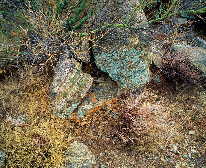 STONED (2),  1992    20” x 24” / $95024” x 30” / $1,50030” x 40” / $2,250The signed, limited edition of 27, includes all of the above sizes.  Print will be shipped directly to client's framer.7 prints are available at 48" x 65". Current price: $5,500. STONED (2),  1992