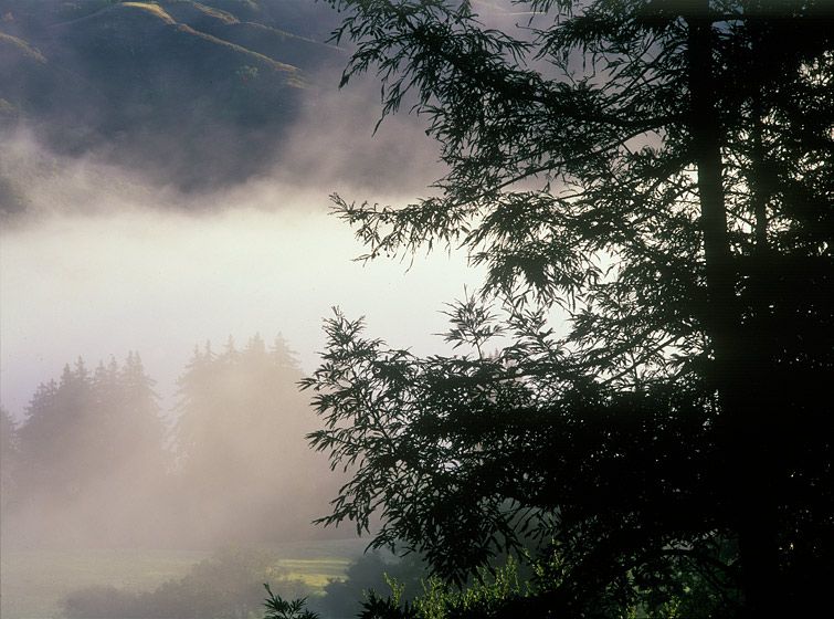 (UNTITLED)Photograph not currently available as print.  For commercial use and reproduction rights contact our studios at peace2rth@mac.com. (UNTITLED)