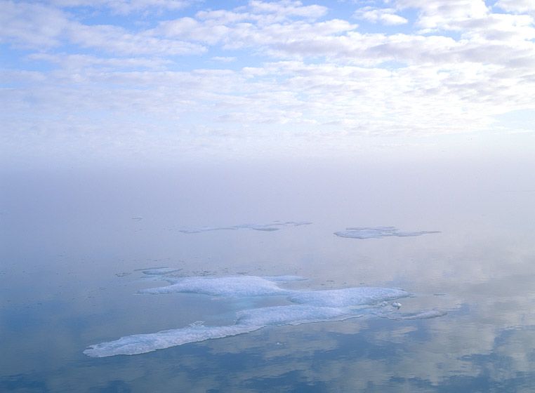 20" x 24" / $1,50024" x 30" / $2,25030" x 40" / $3,500The signed, limited edition of 33, includes all of the above sizes. Print will be shipped directly to client's framer. 1124_nwp_645_4k_8b