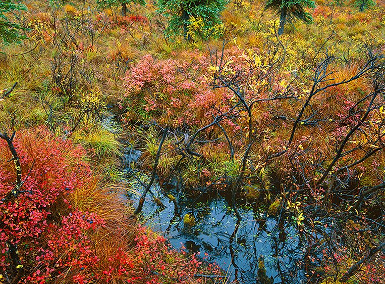 DIFFICULT TERRAIN FOR OVERLAND TRAVEL, 199920” x 24” / $1,50024” x 30” / $2,25030” x 40” / $3,500The signed, limited edition of 33, includes all of the above sizes. Print will be shipped directly to client's framer.48" x 65" edition of 5Current price: $6,500 DIFFICULT TERRAIN FOR OVERLAND TRAVEL, 1999