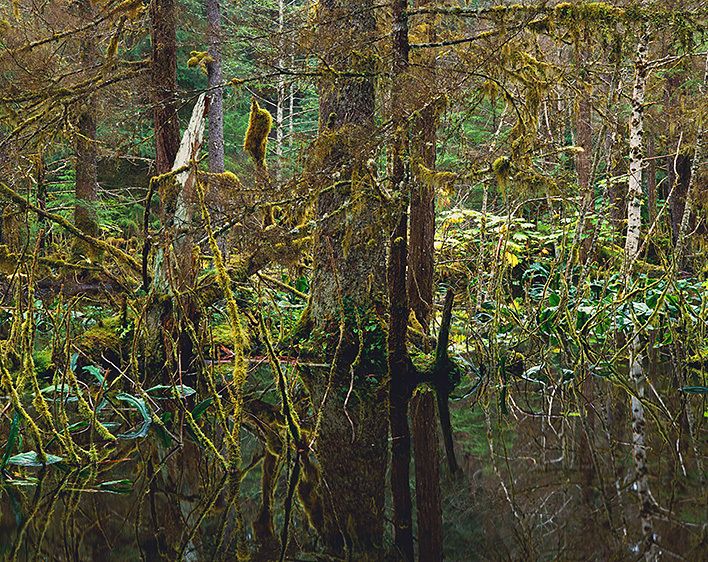 KADASHAN II (blackwater), 1986