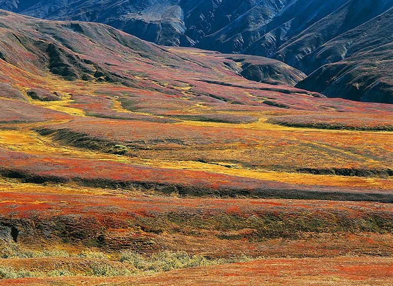 GORGE CREEK AND FALL MEADOWS FROM THOROFARE PASS, 2008Photograph not currently available as print. For commercial use reproduction rights contact our studios at: peace2rth@mac.com GORGE CREEK AND FALL MEADOWS FROM THOROFARE PASS, 2008