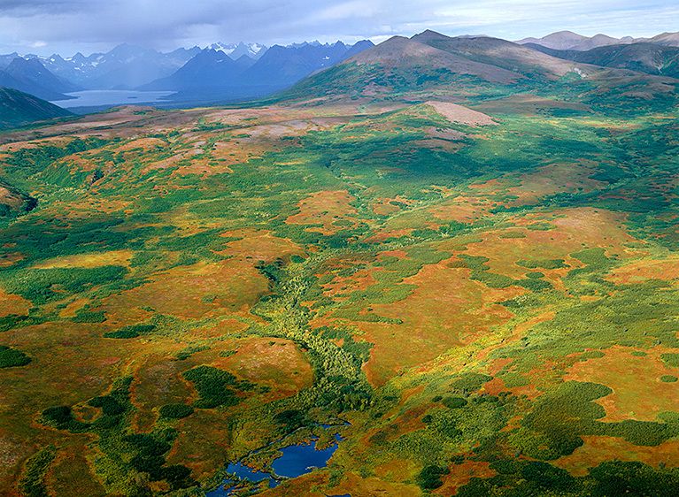 FALL IN THE FOOTHILLS, WOOD-TIKCHIK, 199920” x 24” / $1,50024” x 30” / $2,250The signed, limited edition of 27, includes all of the above sizes. Print will be shipped directly to client's framer. FALL IN THE FOOTHILLS, WOOD-TIKCHIK, 1999