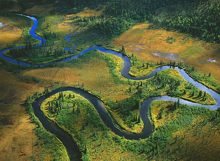 RAT CREEK, WOOD-TIKCHIK STATE PARK, 1999   Buy This Print