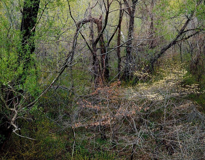 THE VOYAGE OF LIFE / HOMAGE TO THOMAS COLE, 1984All prints are VINTAGE Cibachrome/Ilfochromemade prior to 1985 by Master Printer, Michael Wilder.ORDER FROM CHAOS, NEW WORK and NEW WORK, TOO a complete portfolio of 18-signed, limited edition prints w/catalog: $150,000 (Only 1 complete portfolio is still available.) THE VOYAGE OF LIFE / HOMAGE TO THOMAS COLE, 1984