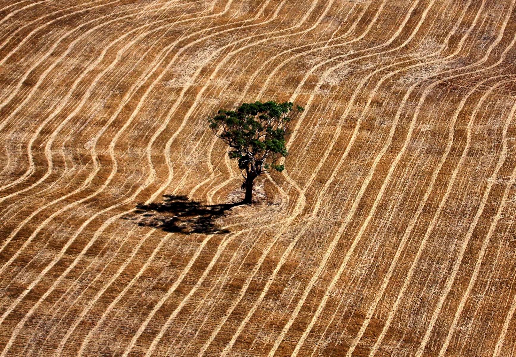 1australian_drought0008