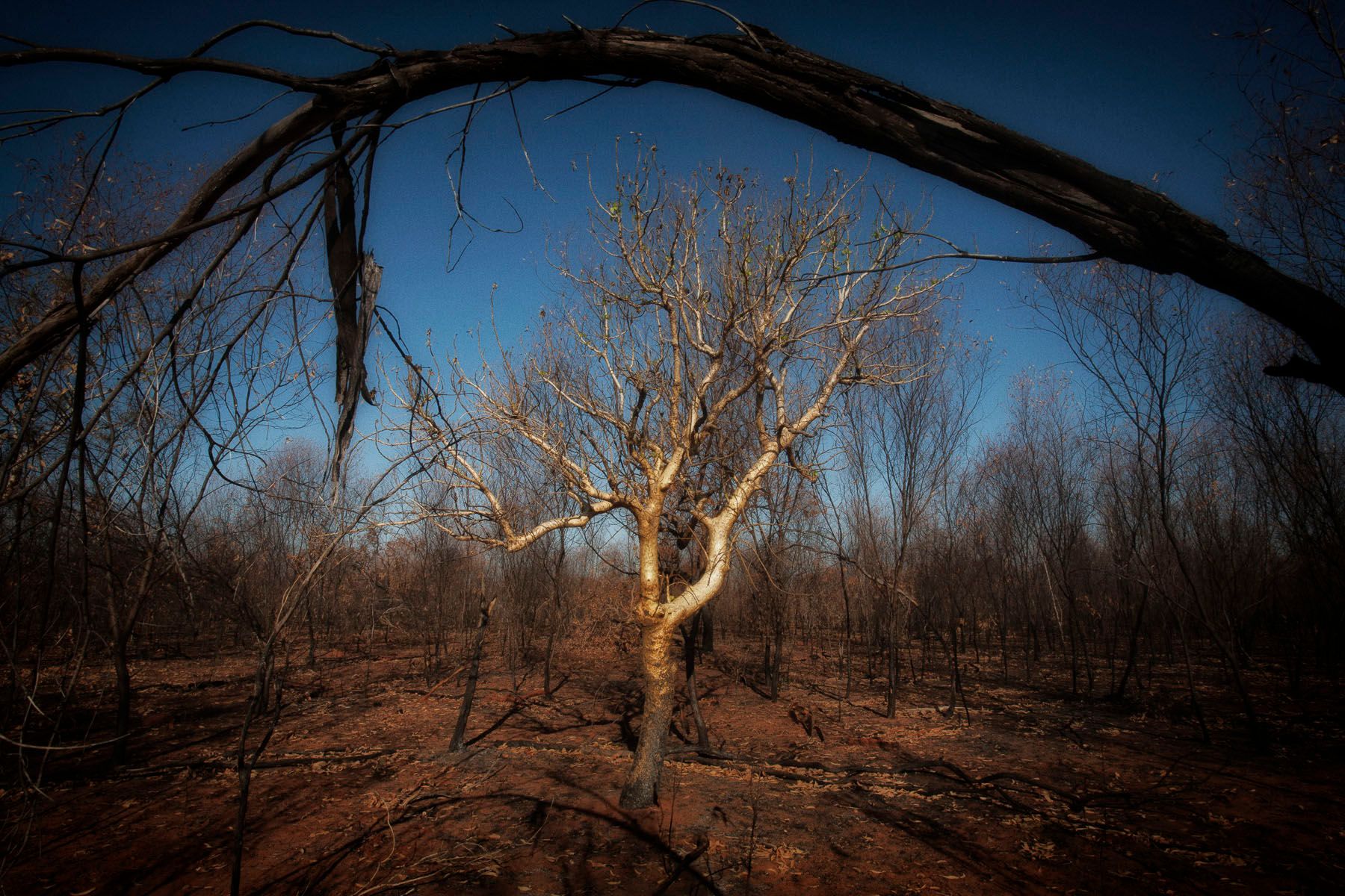 1australian_drought0032