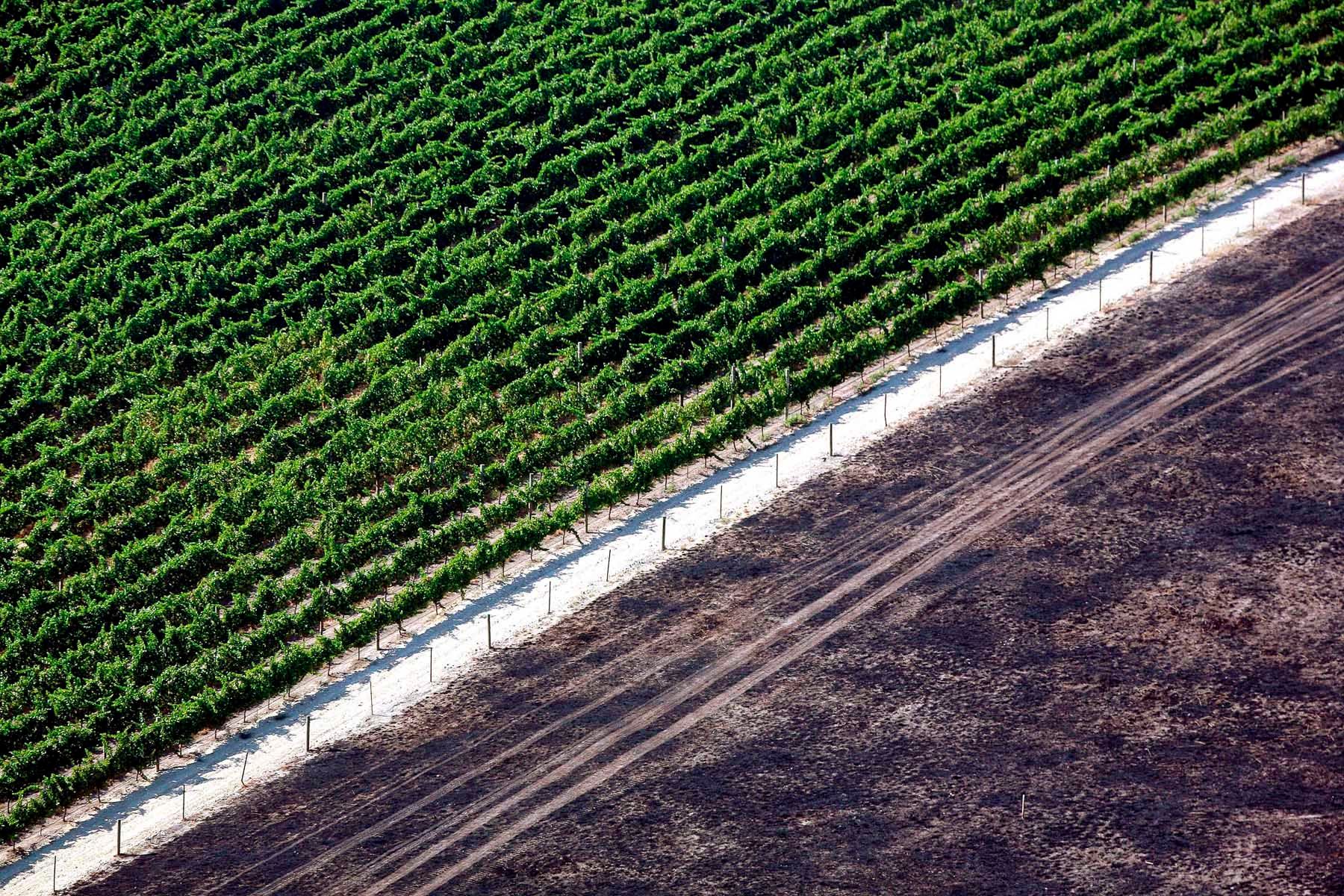 1australian_drought0028