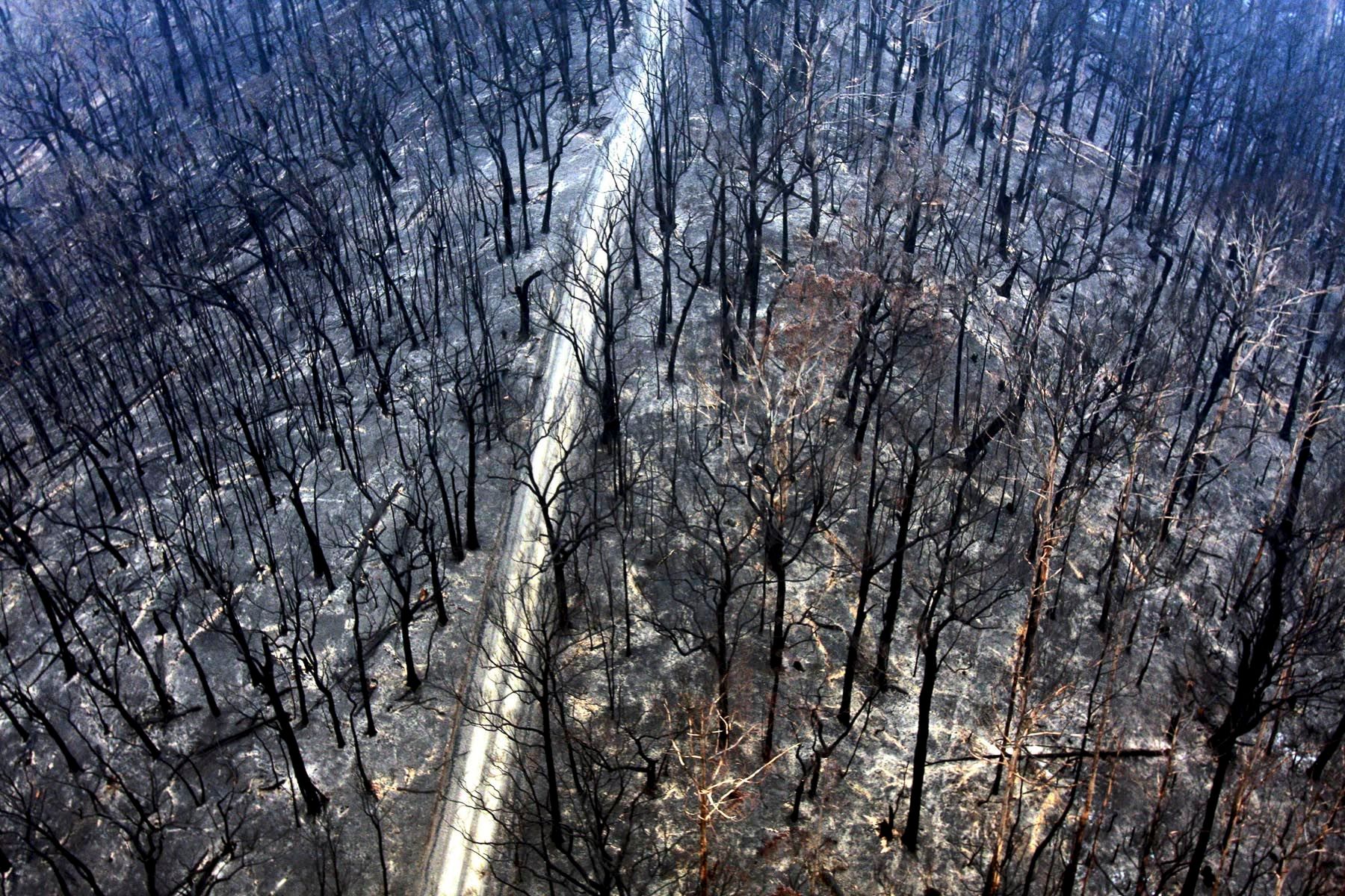 1australian_drought0025