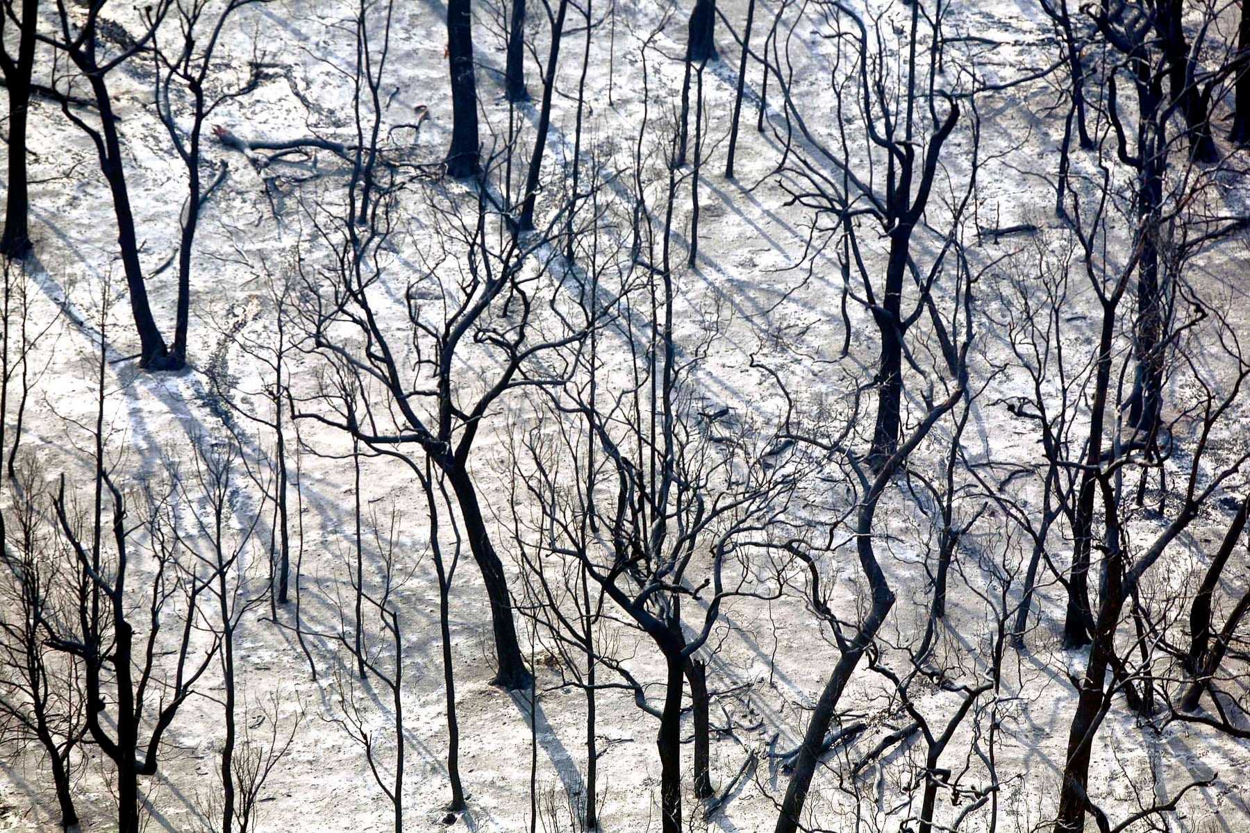 1australian_drought0027