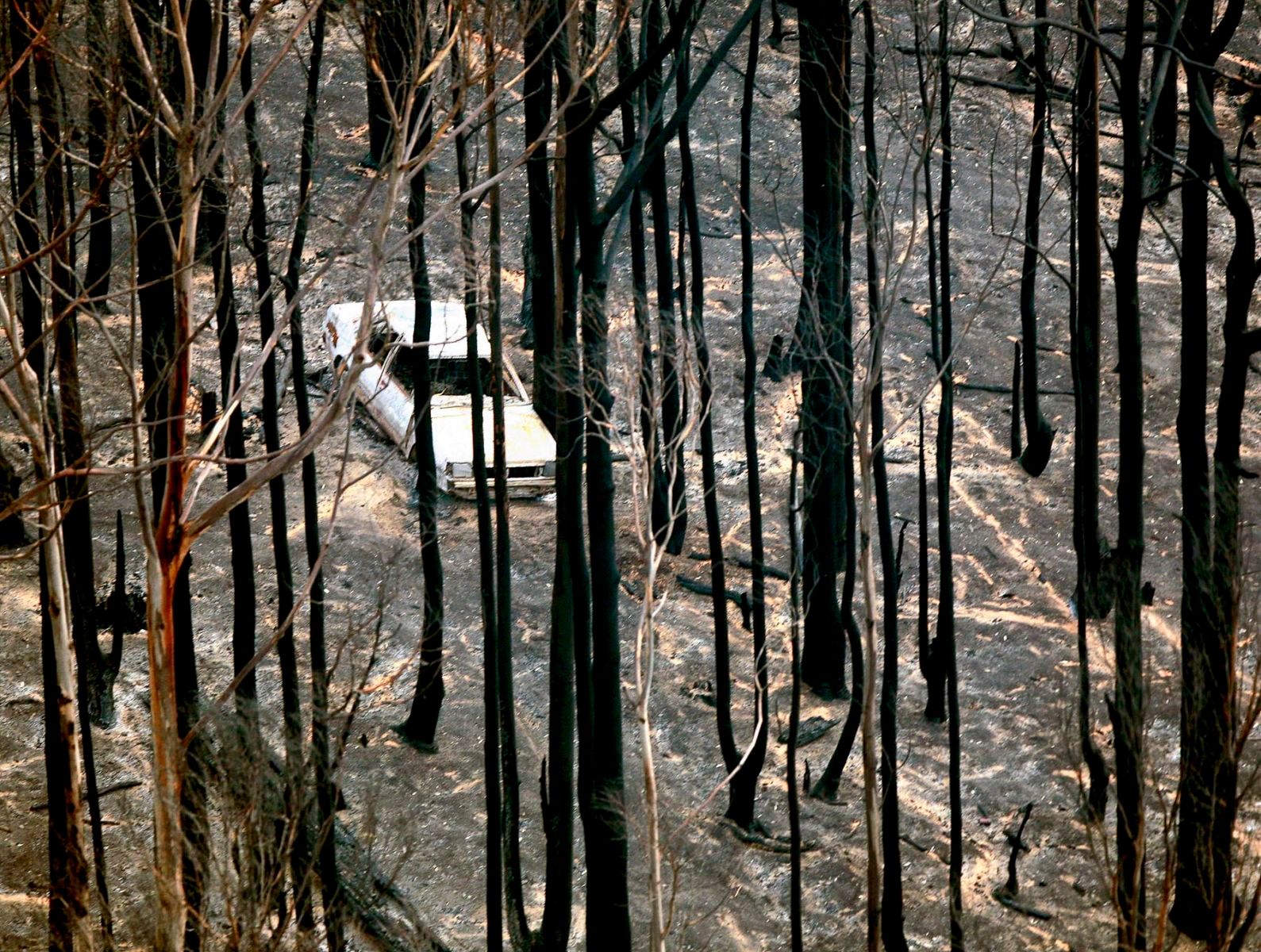 1australian_drought0026