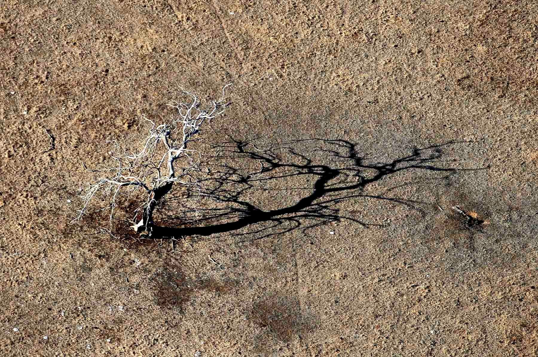 1australian_drought0004