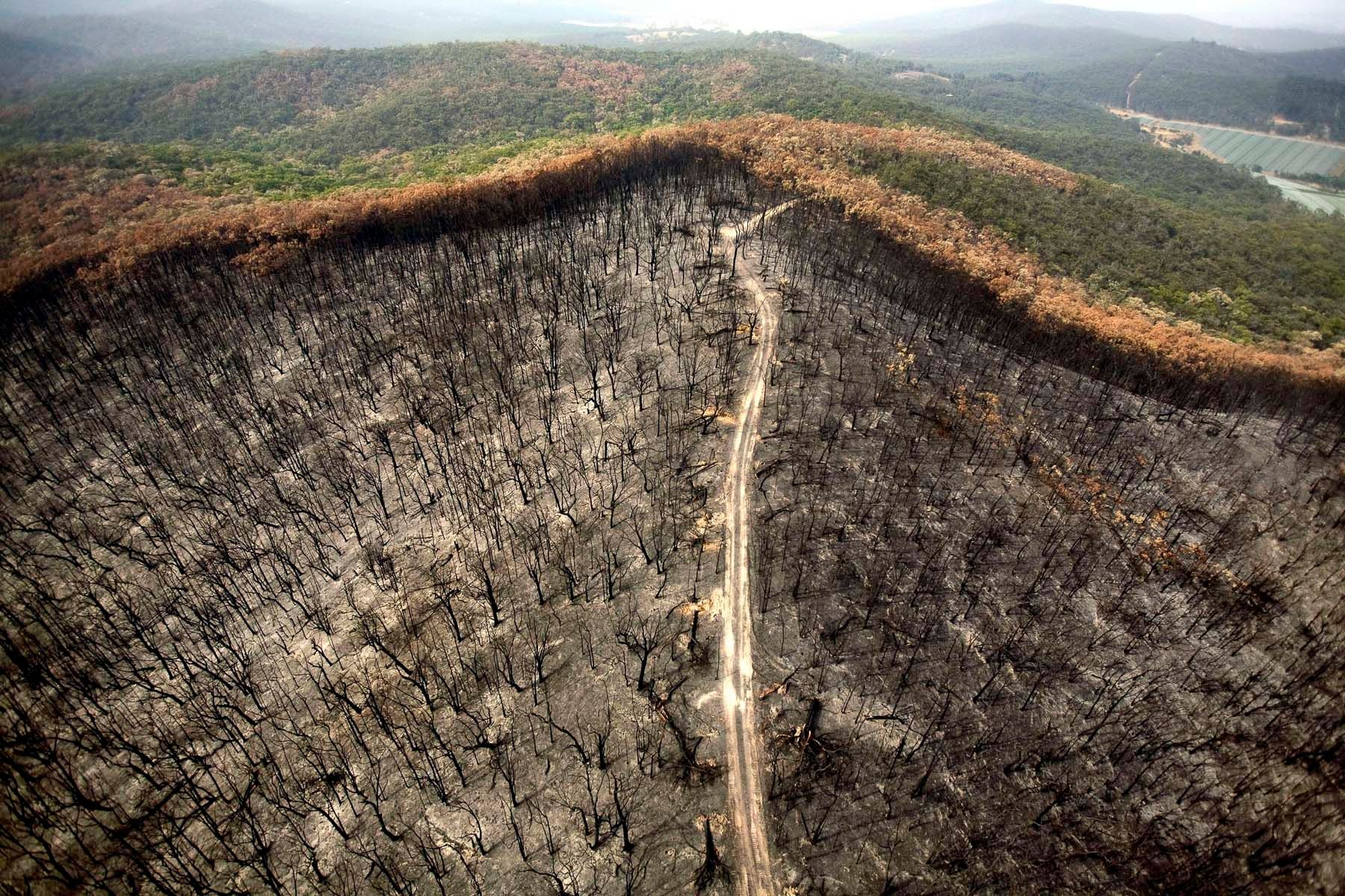 1australian_drought0016