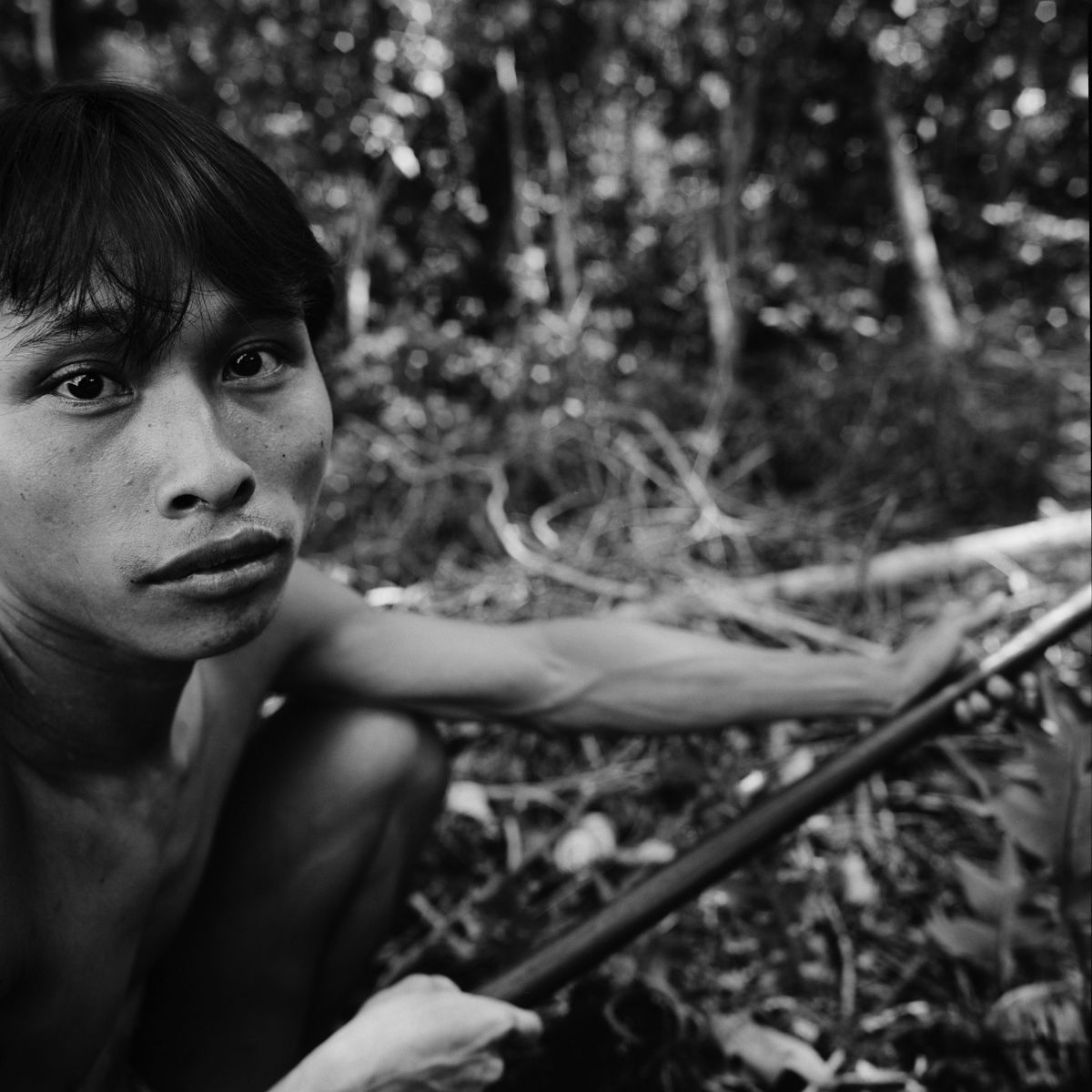 1borneo_oct_2001_sheet_40375_neg_7