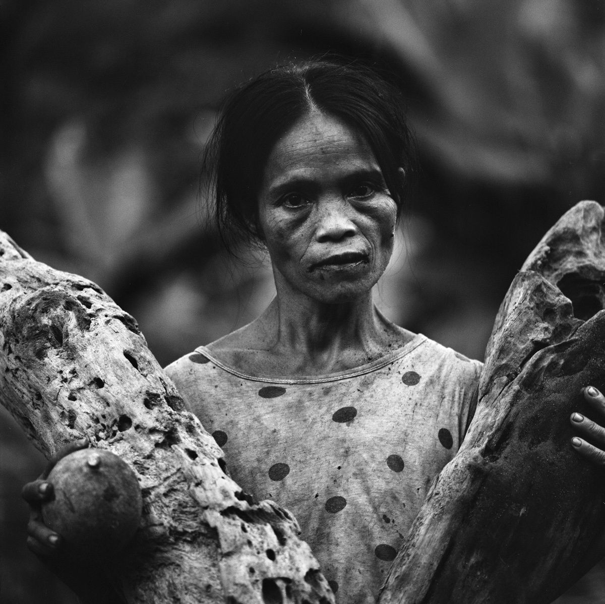 1borneo_sept_1999_sheet_40247_neg_10_rt_3