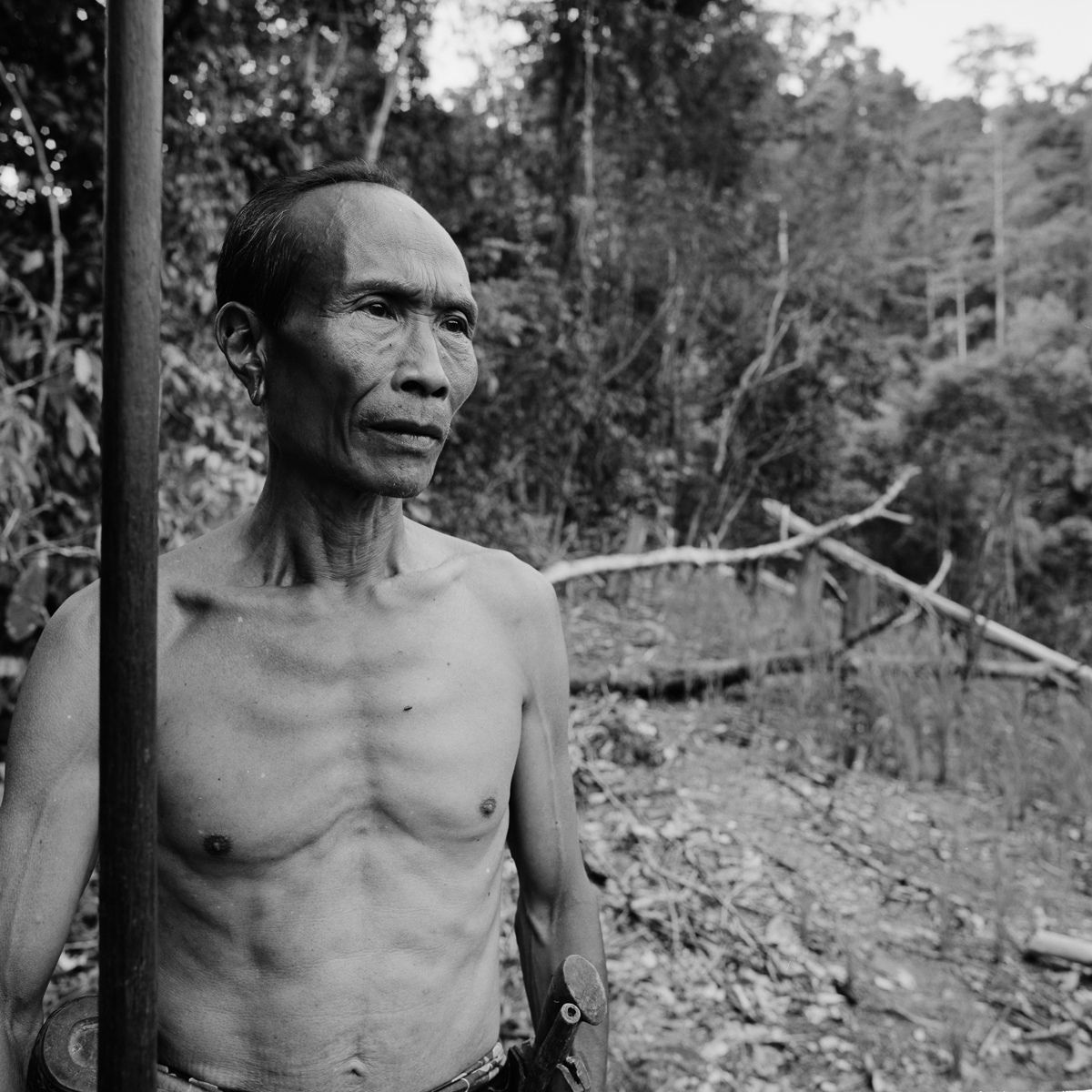 1borneo_oct_2001_sheet_24110_neg_9