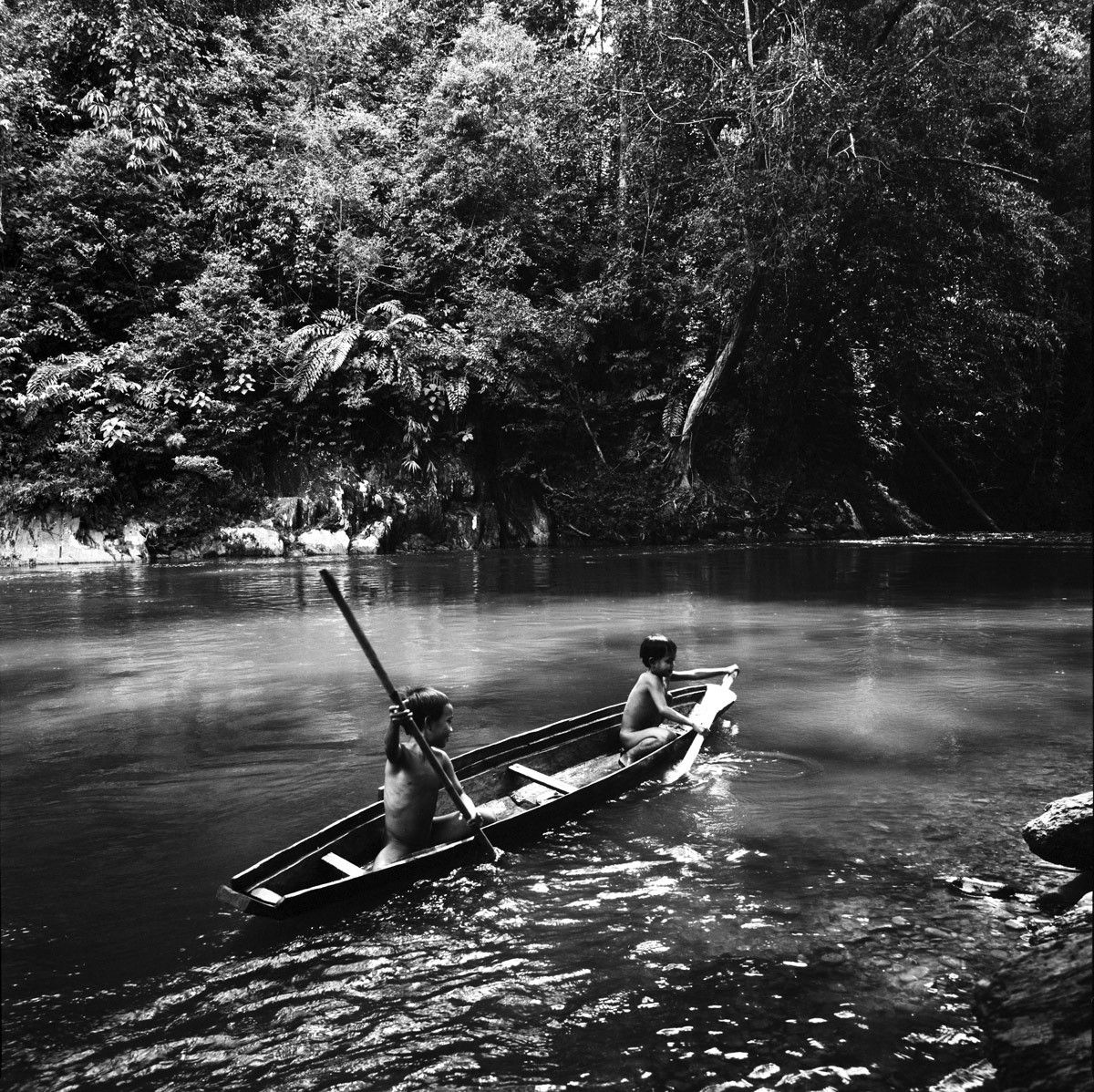 1borneo_oct_2001_sheet_40366_neg_3
