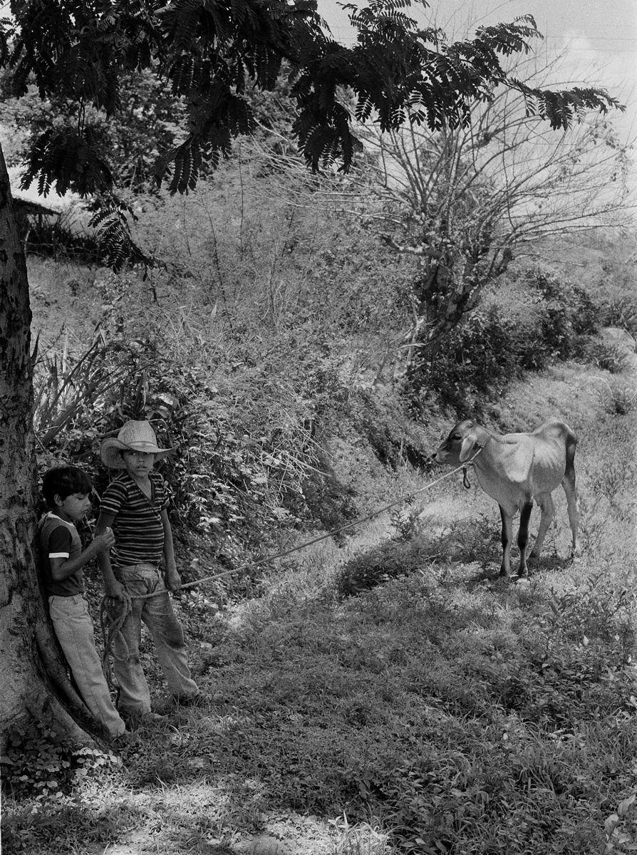 1el_salvador_sheet_7_neg_4_rt