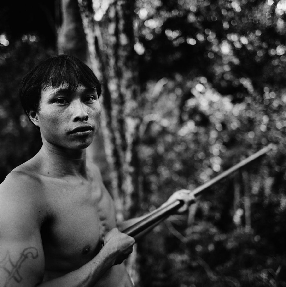 1borneo_oct_2001_sheet_40362_neg_1_rt