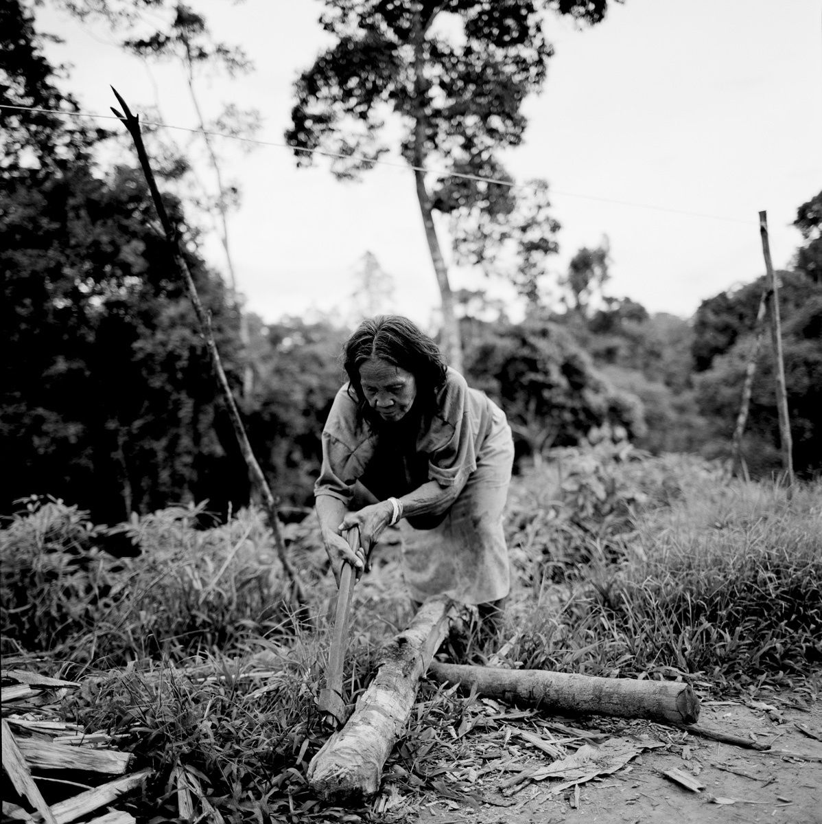 1borneo_oct_2001_sheet_40505_neg_6