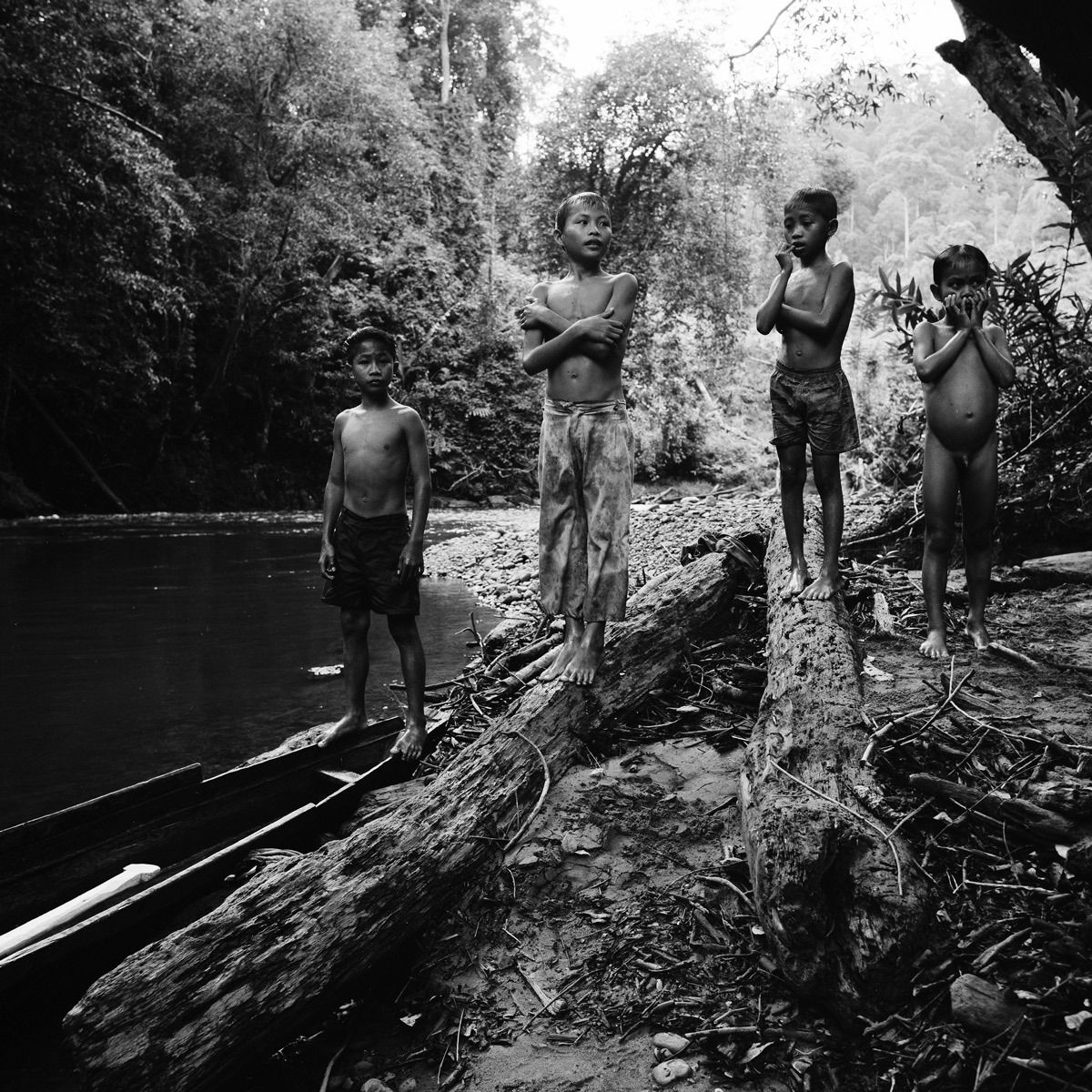 1borneo_oct_2001_sheet_40509_neg_4