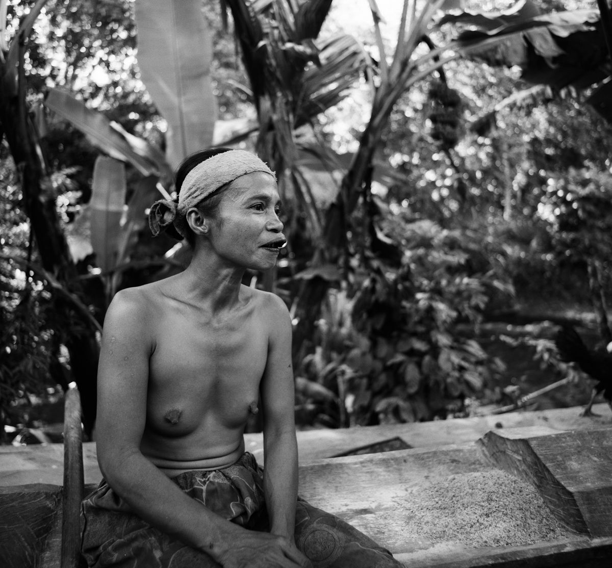 1borneo_sept_1999_sheet_40275_neg_12_rt