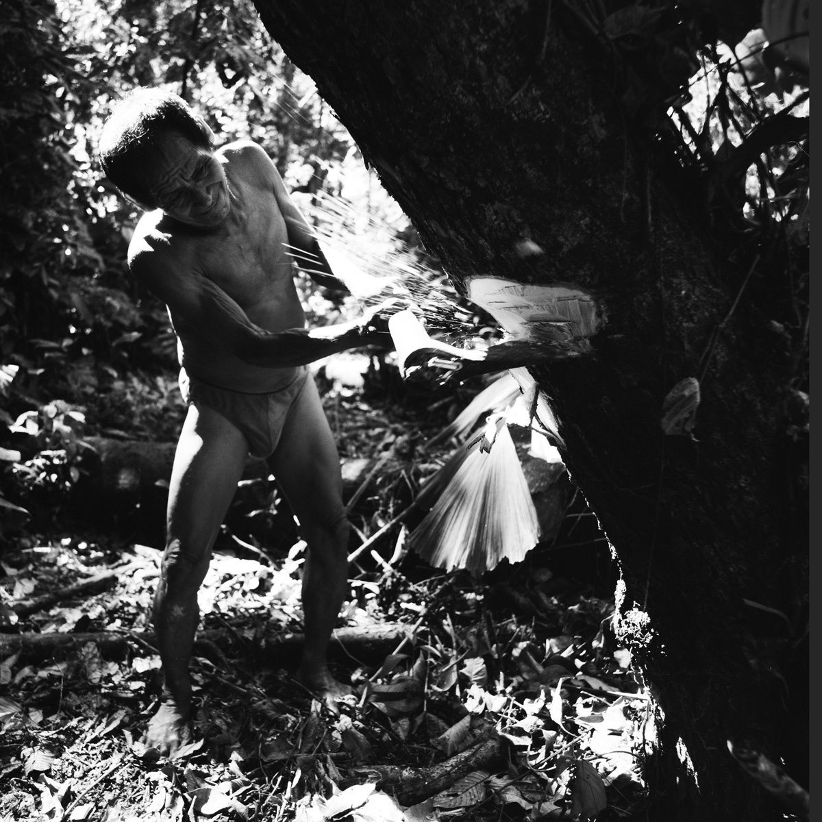 1peru_2003_sheet_201_neg_3_rt