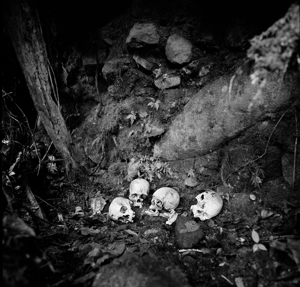 1png_nov_1997_sheet_40531_neg_7_rt